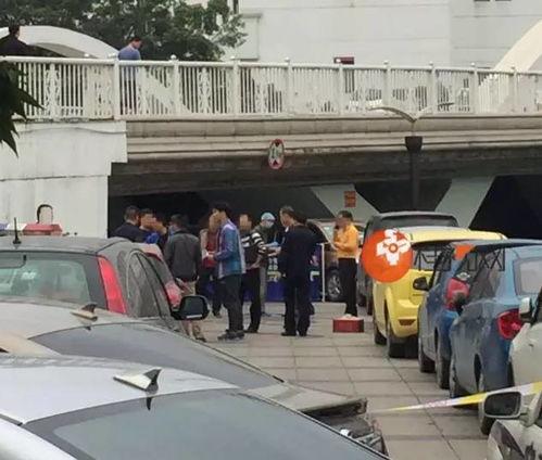 陆丰车管所爆料案件最新,案件细节曝光,真相令人震惊!” 第3张 陆丰车管所爆料案件最新,案件细节曝光,真相令人震惊!” 第3张